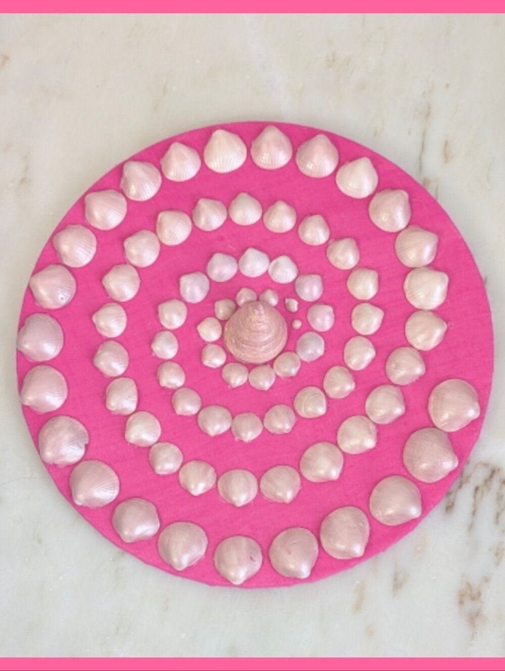 Coastal SeaShell Decorative Wall Art 12on Pink Background